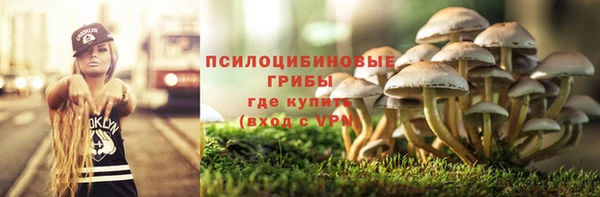 Альфа ПВП Алексеевка
