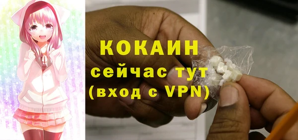 индика Алексин