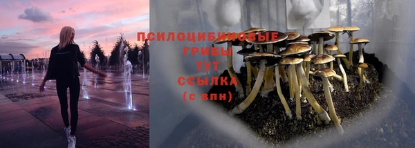 героин Алзамай