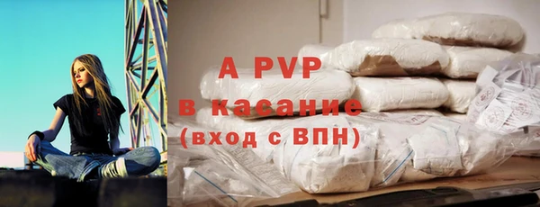 ПСИЛОЦИБИНОВЫЕ ГРИБЫ Абаза