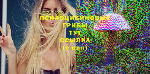ПСИЛОЦИБИНОВЫЕ ГРИБЫ Абаза