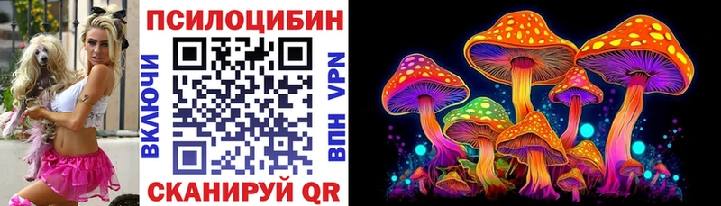 гидра зеркало  Новомичуринск  Псилоцибиновые грибы Psilocybine cubensis  где продают наркотики 